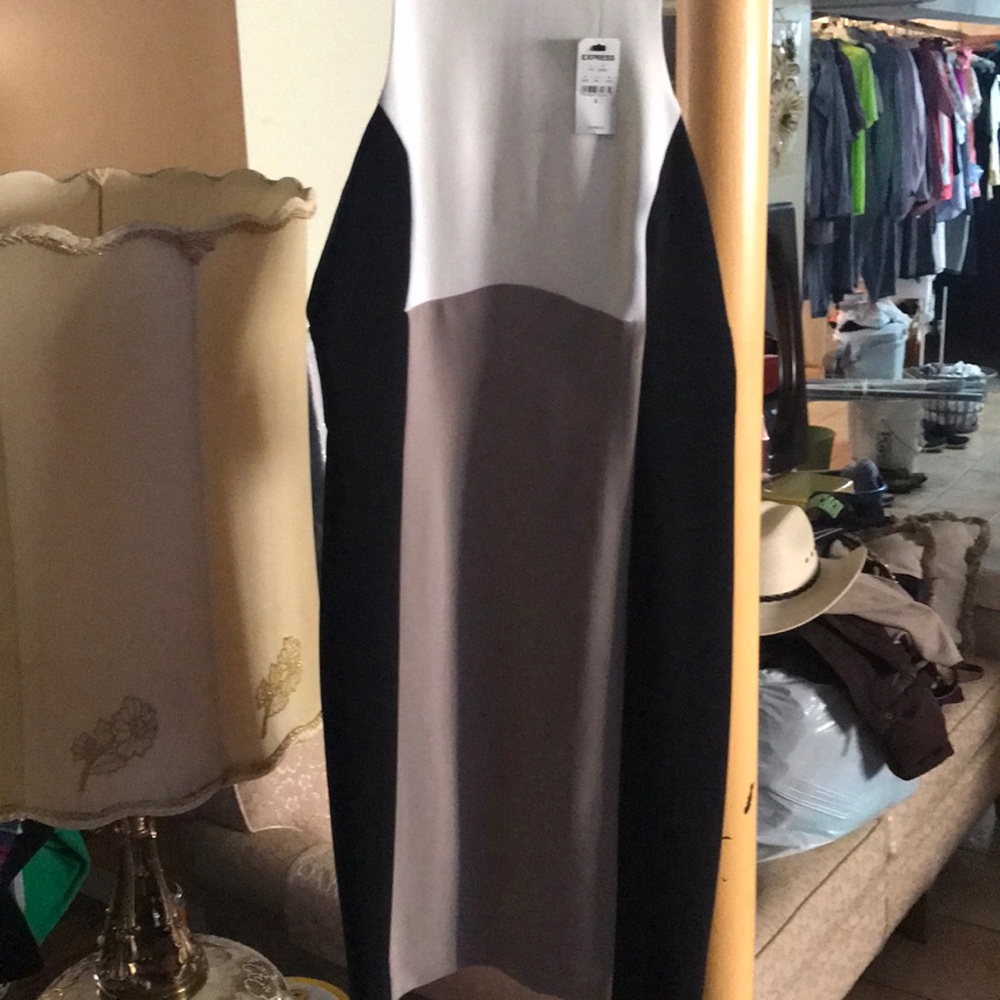Express dress - Picture 5 of 6